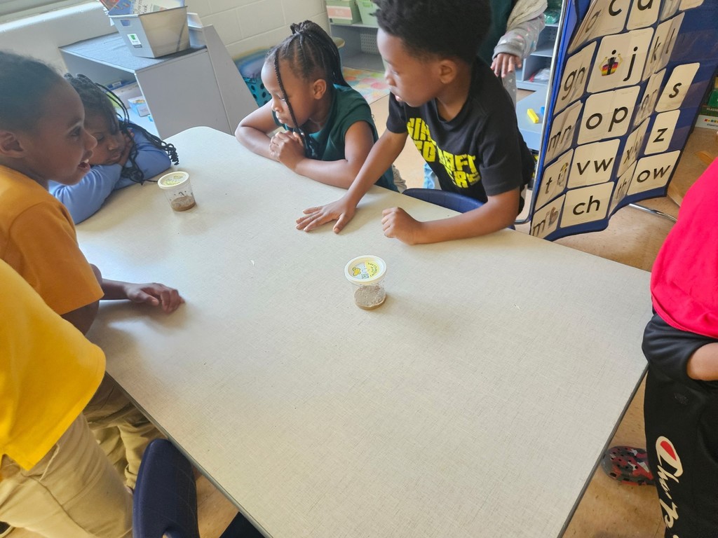 Science: Caterpillars