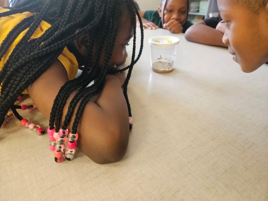 Science: Caterpillars