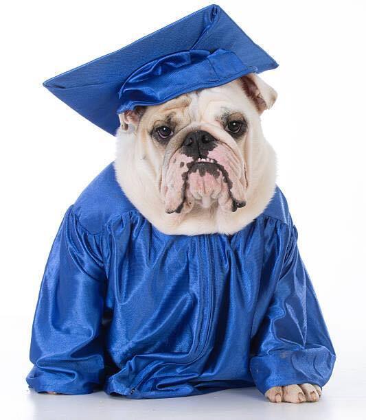 Senior Cap & Gown proofs have arrived. Mr. Cox will be giving them out during the lunches on Monday, May 18, 2026.  The proofs will have a code to order pictures.