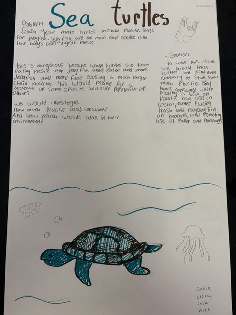 Marine mystery challenge poster 2