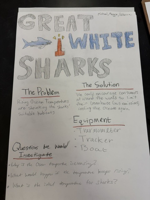Marine mystery challenge poster