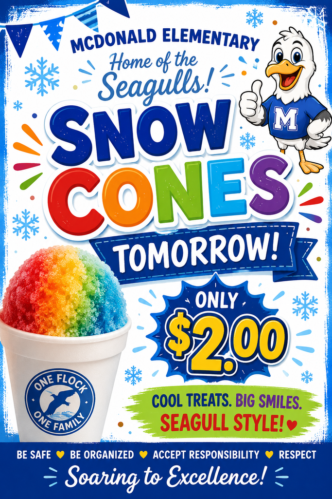 Snow Cone Flyer 
