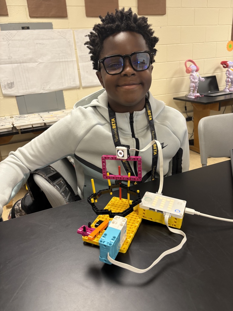 Stem 4