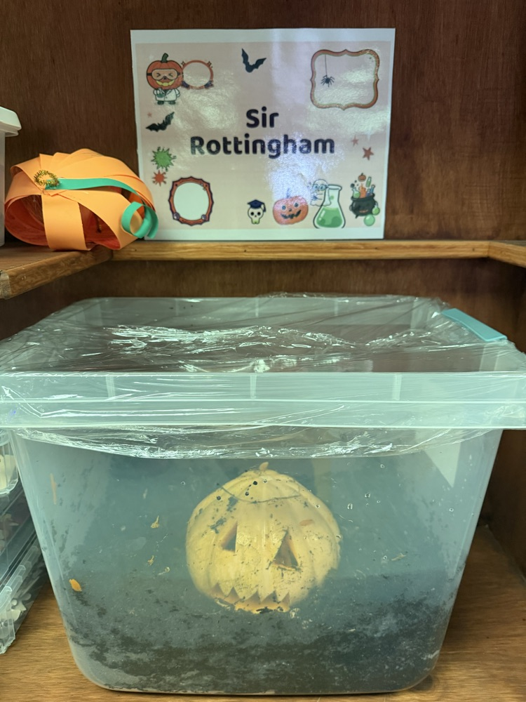 pumpkin rot