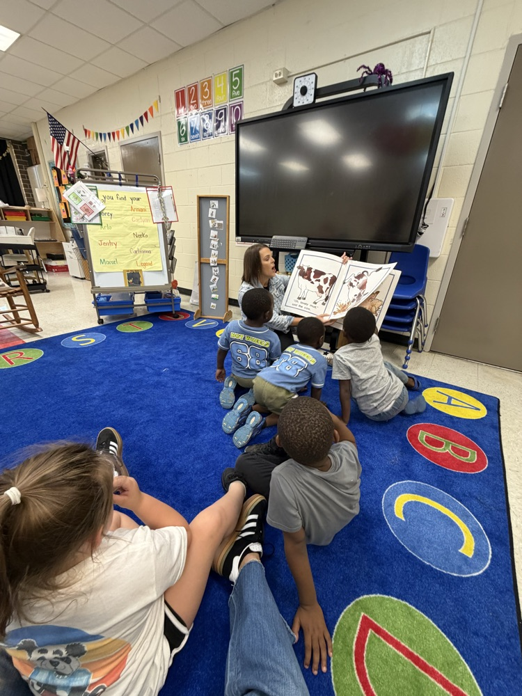 Wishy Washy