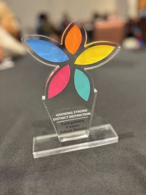 Growing Strong District Distinction Award