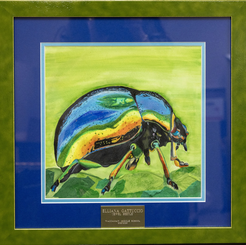 Carolyn Greene Winner -  Elliana Gattuccio 7th Grade WMS “Jewel Beetle”