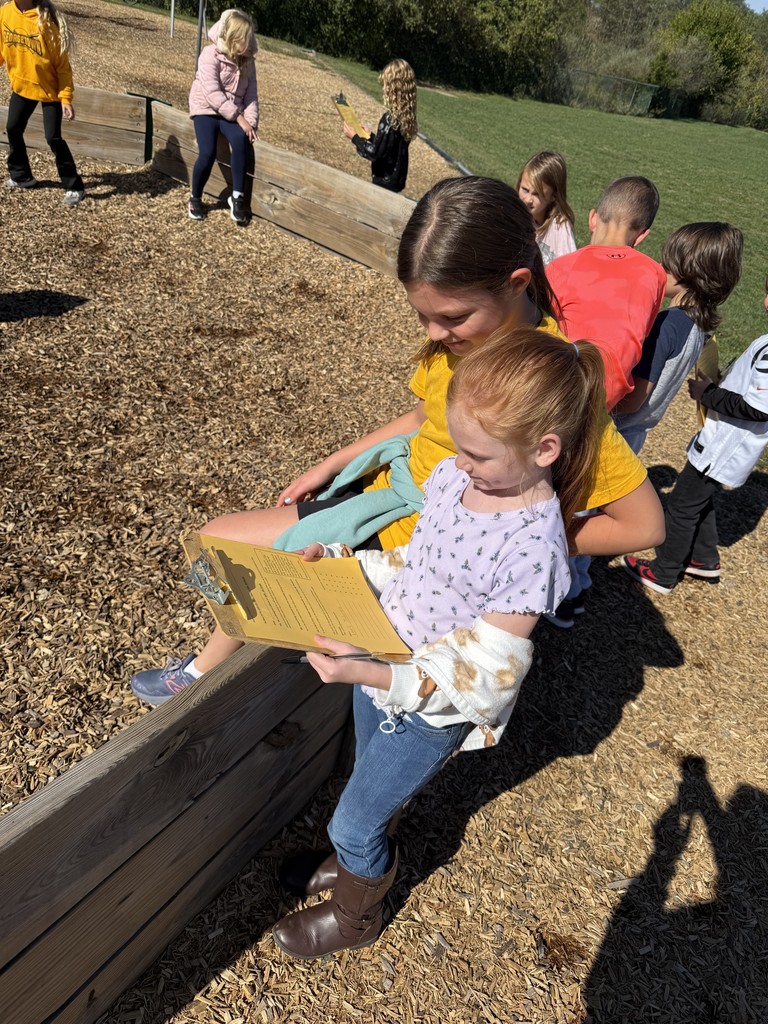 4thGradeCivicParticipation