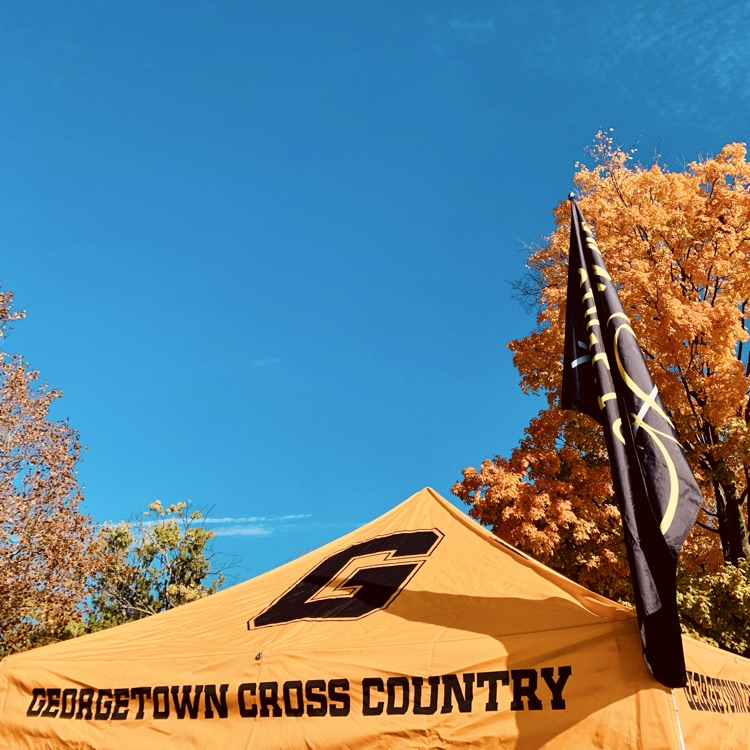 Outstanding job at Regionals!🏅 We’re so proud of our qualifying cross country athletes for an amazing showing at the OHSAA Regional Meet! ⚫️🟡 It takes tremendous dedication, hard work, and heart to compete at this level. 🌟 Way to go! 