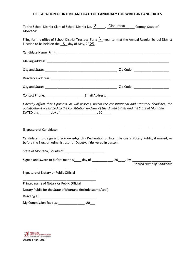 Write-in Candidate Form