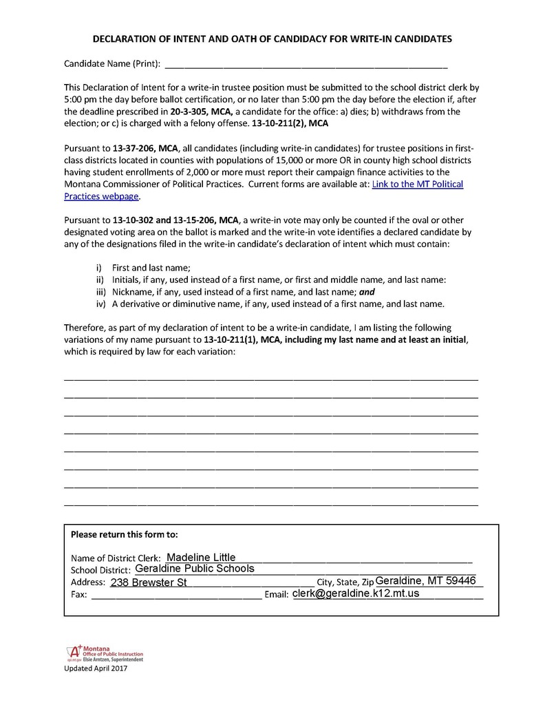 Write-in Candidate Form