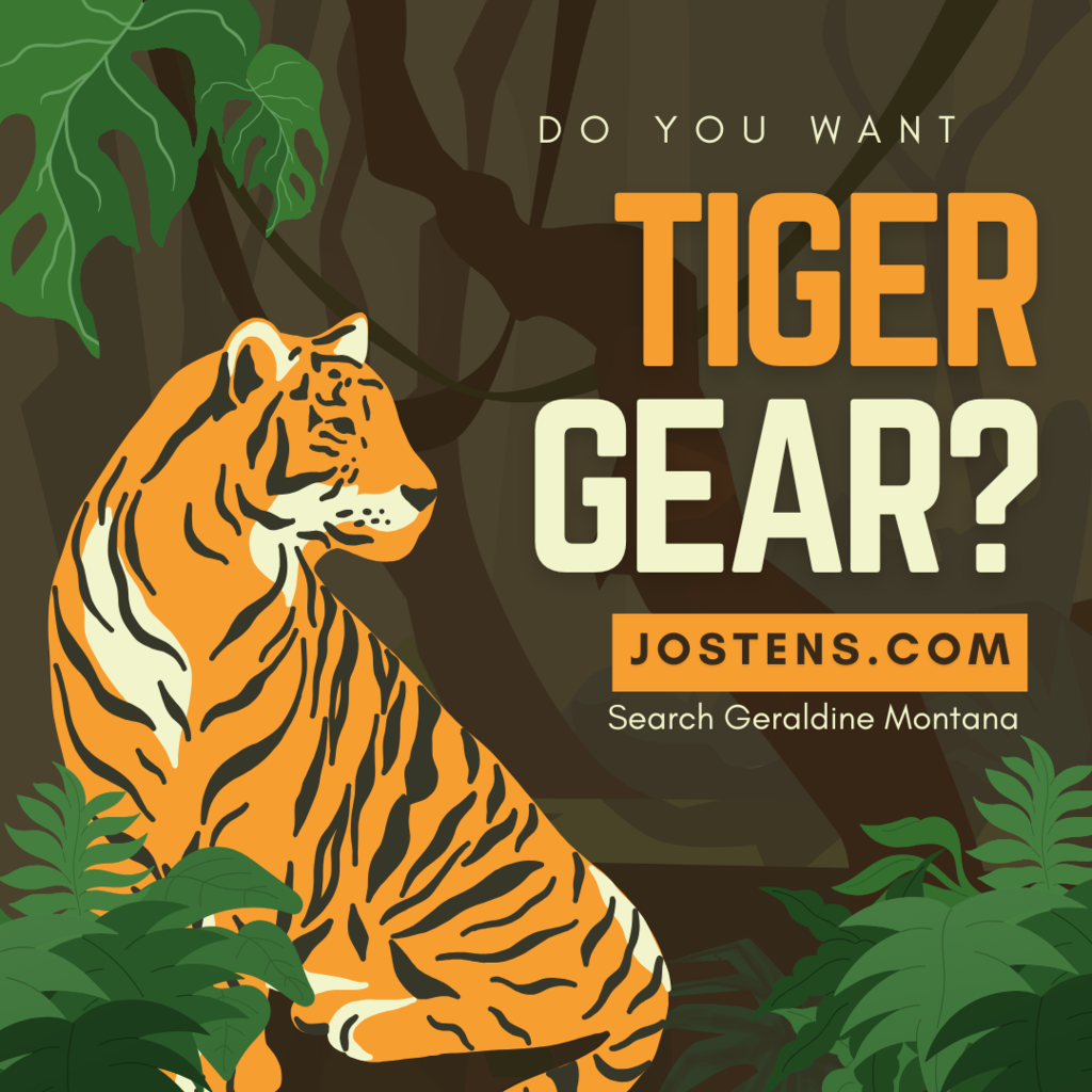 Tiger Gear