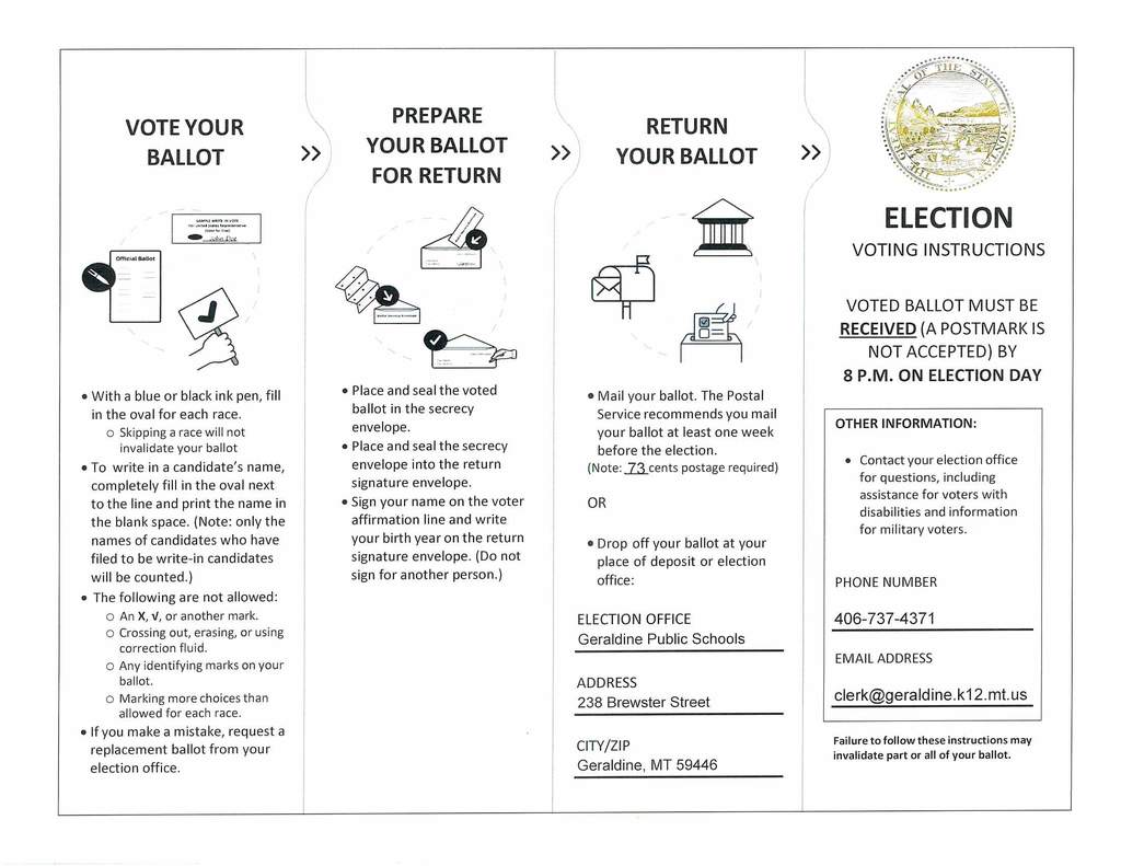 Voting Instructions