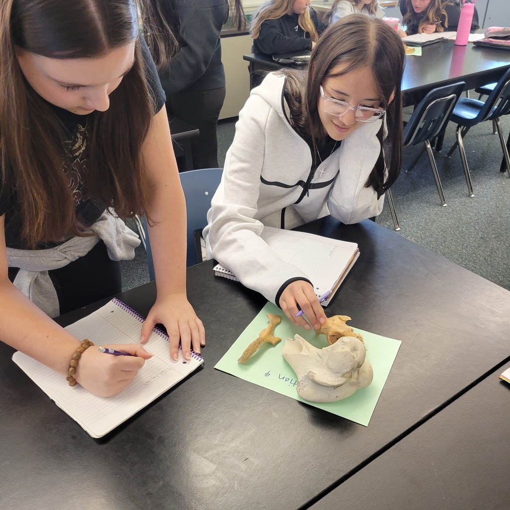 Med Science