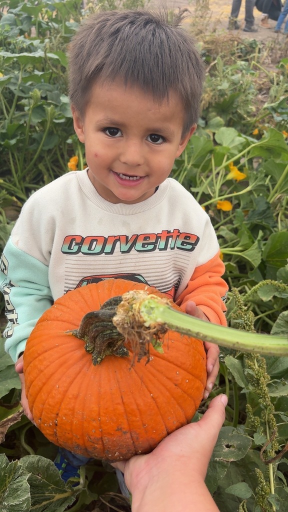 pumpkin