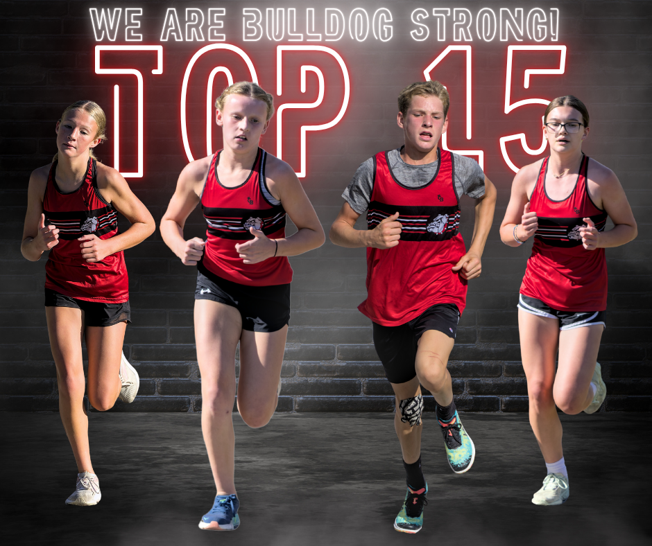 Top 15