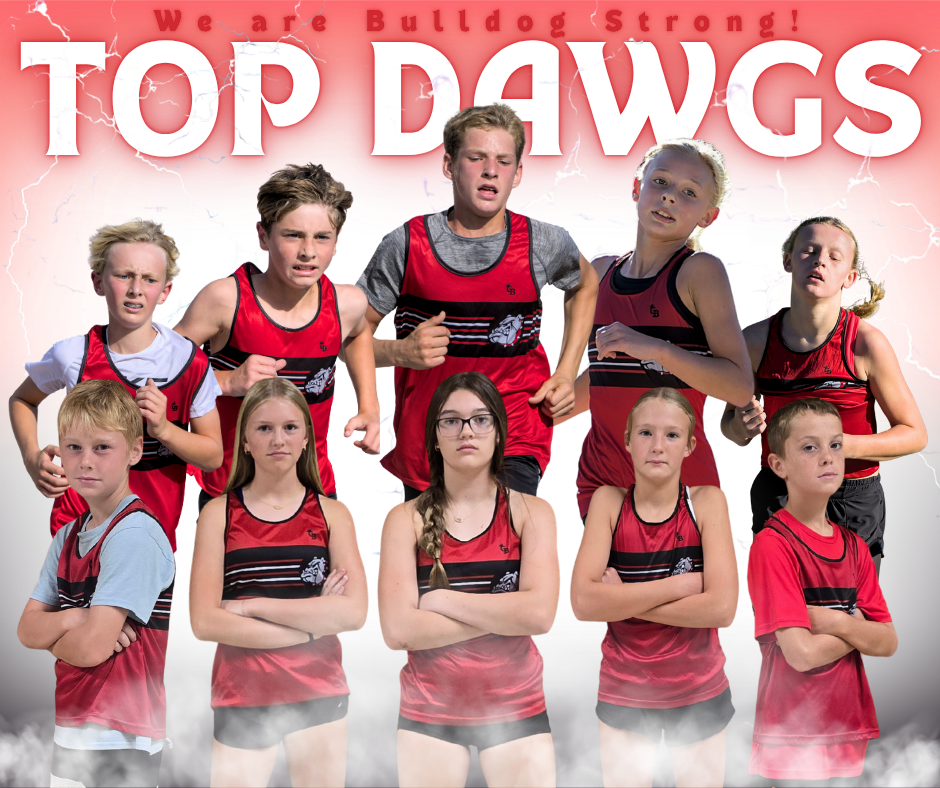 Top Dawgs