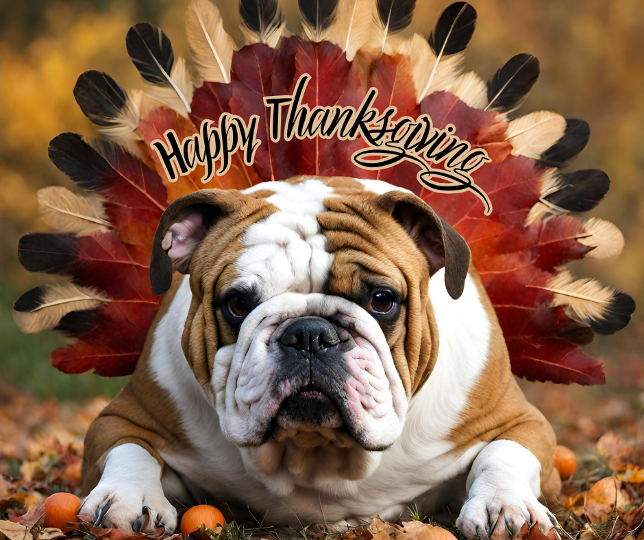 Happy Thanksgiving