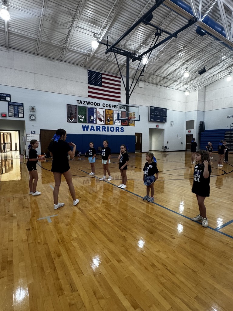 Cheer Clinic