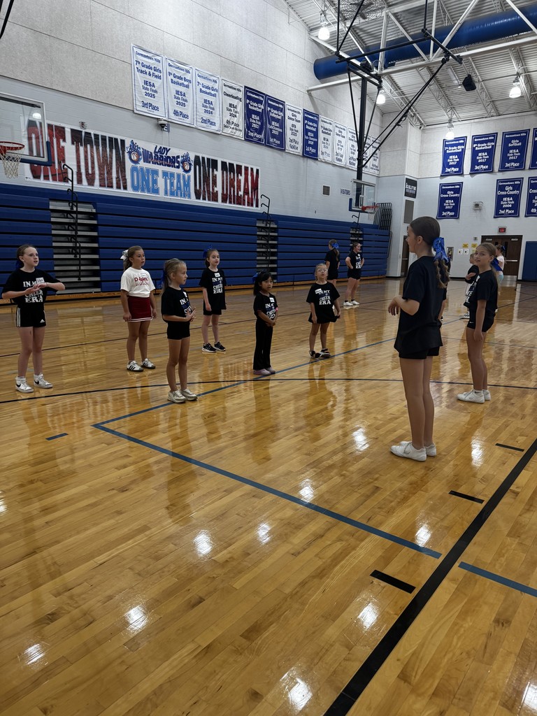 Cheer Clinic
