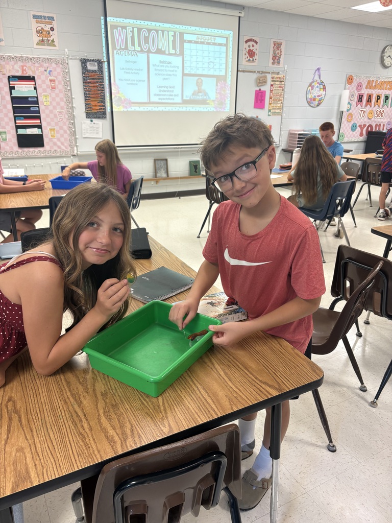 Team-building lab