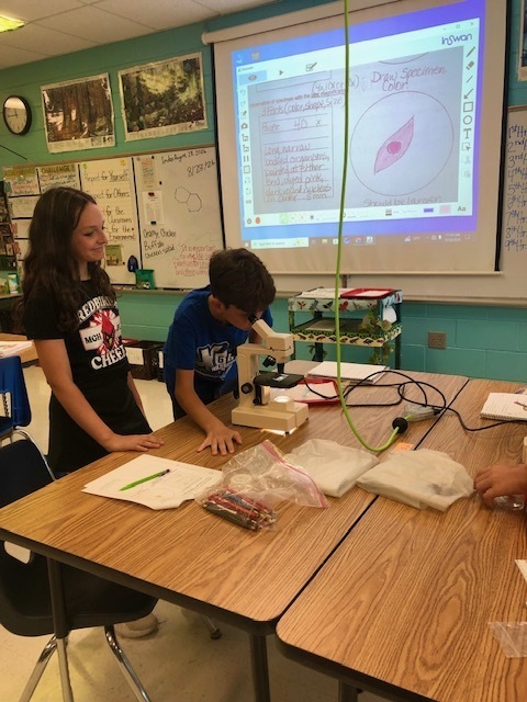 7th Grade Science