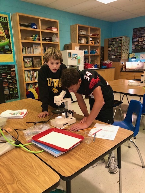 7th Grade Science