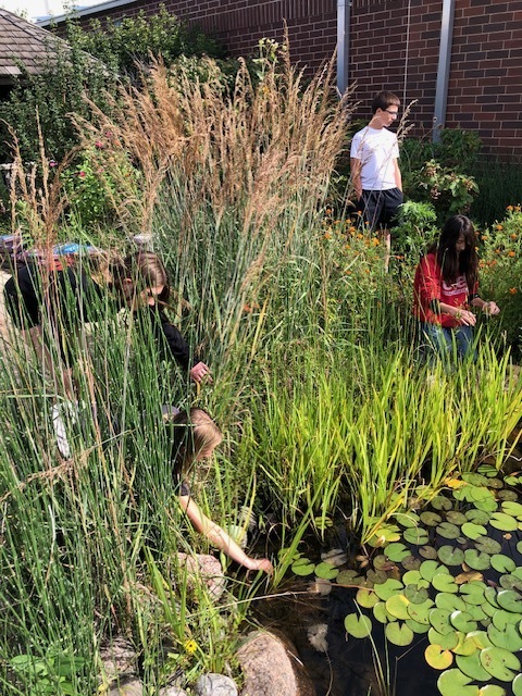7th Grade Pond Lab