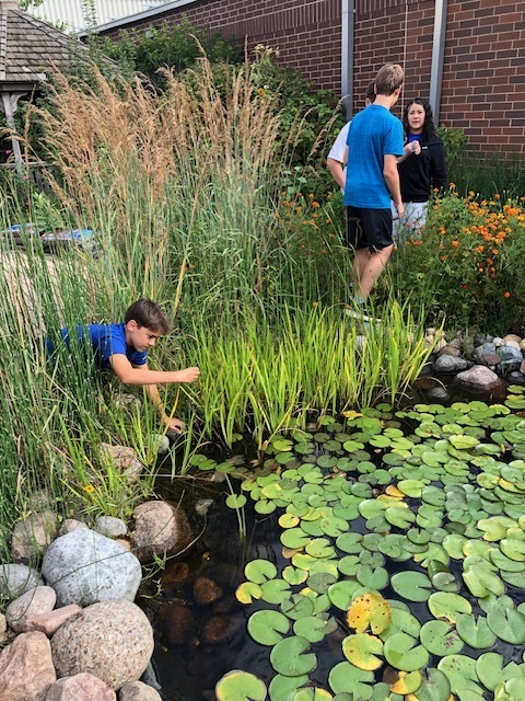 7th Grade Pond Lab
