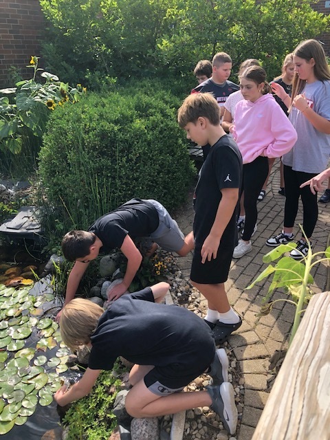 7th Grade Pond Lab