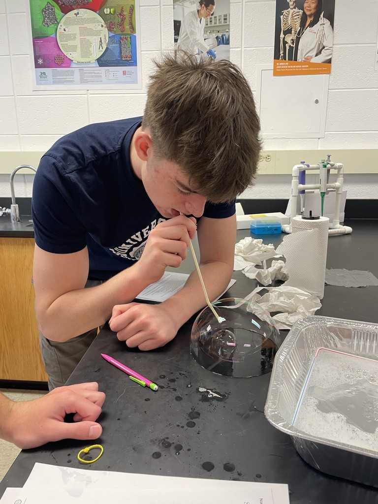 A student blows inside a bubble in AP Biology class learning how they relate to the cell membranes students are learning about in class.