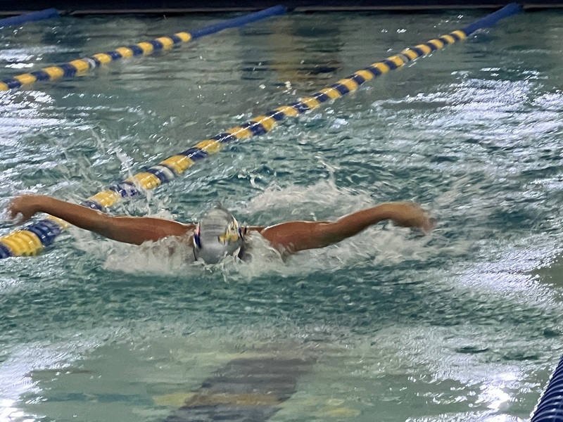 swim