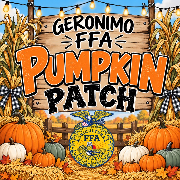 pumpkin patch