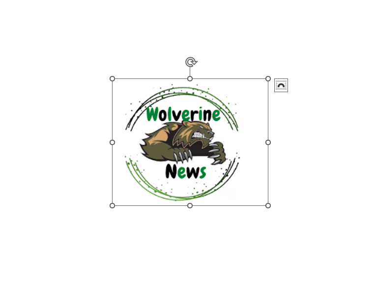 Wolverine News