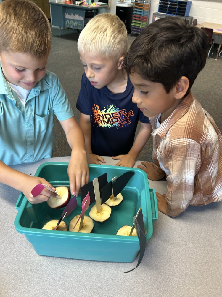 Apple boats