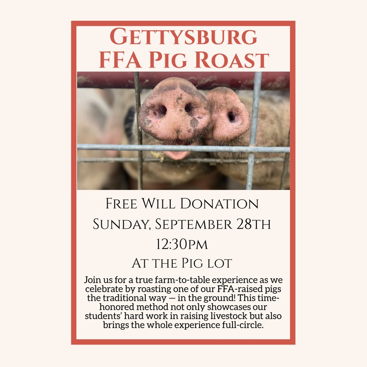 Pig Roast