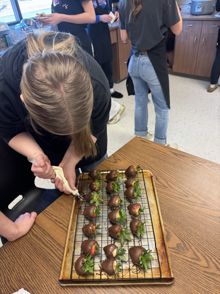 chocolate covered strawberries 
