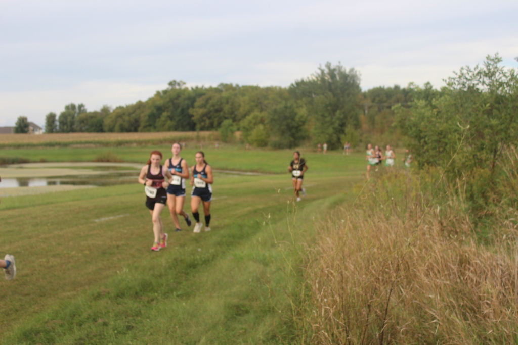 Cross country runners