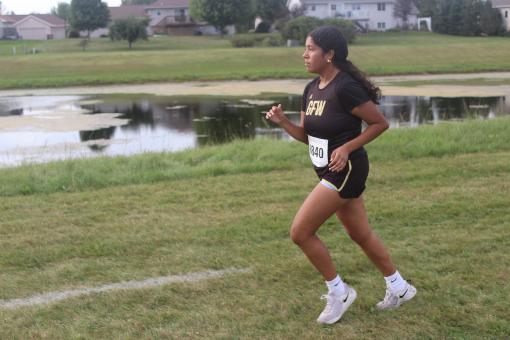 Cross country runners