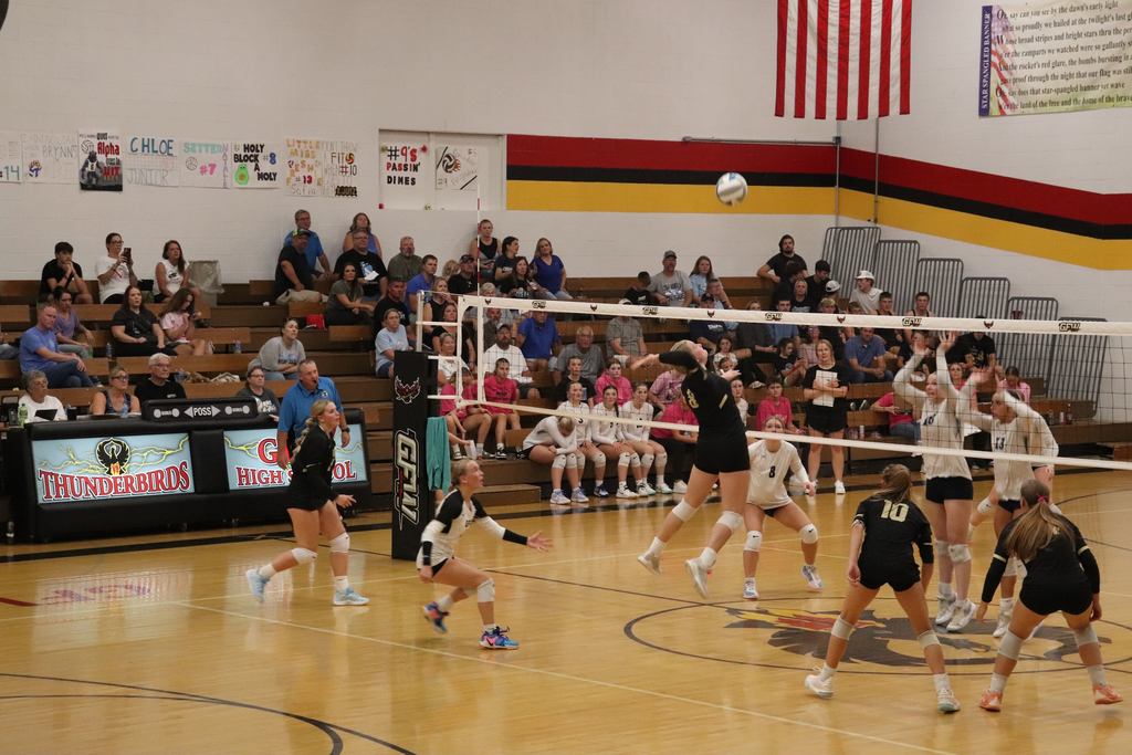 Volleyball game