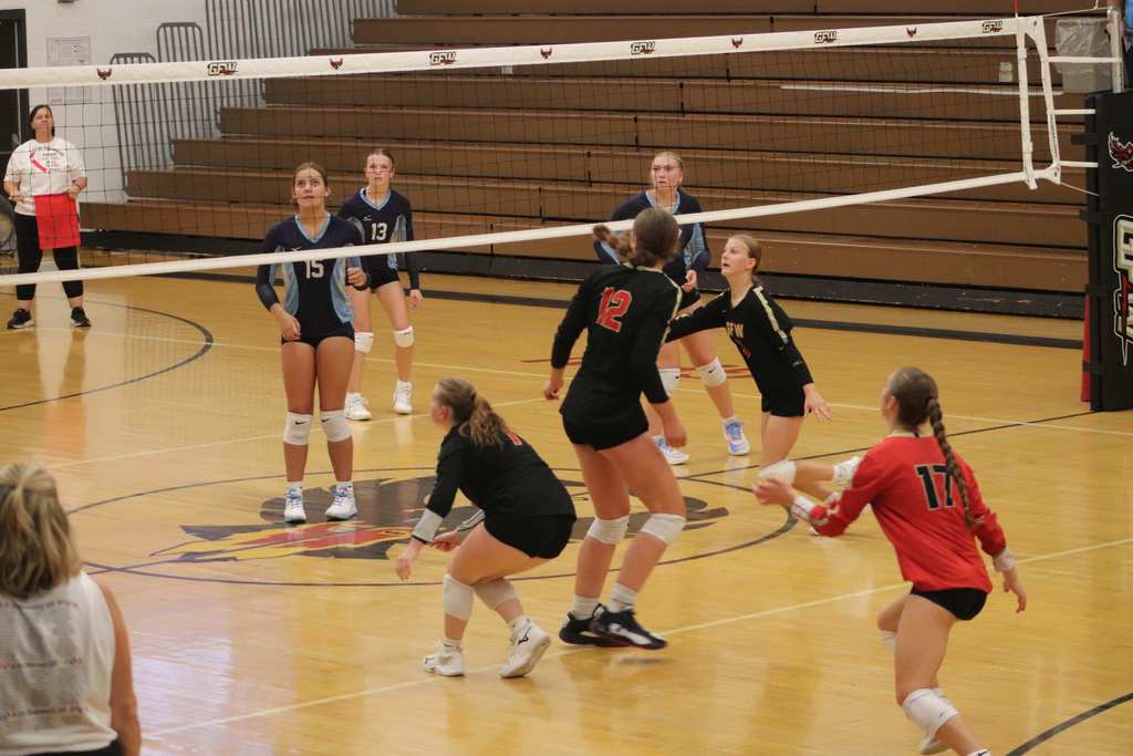 Volleyball game