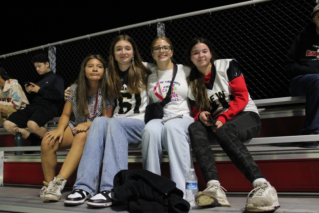 fans in the stands