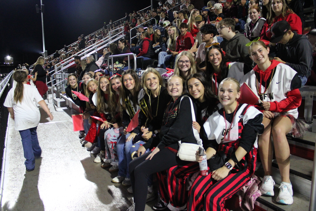fans in the stands