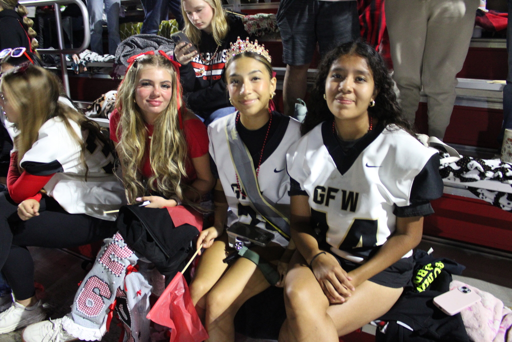 fans in the stands