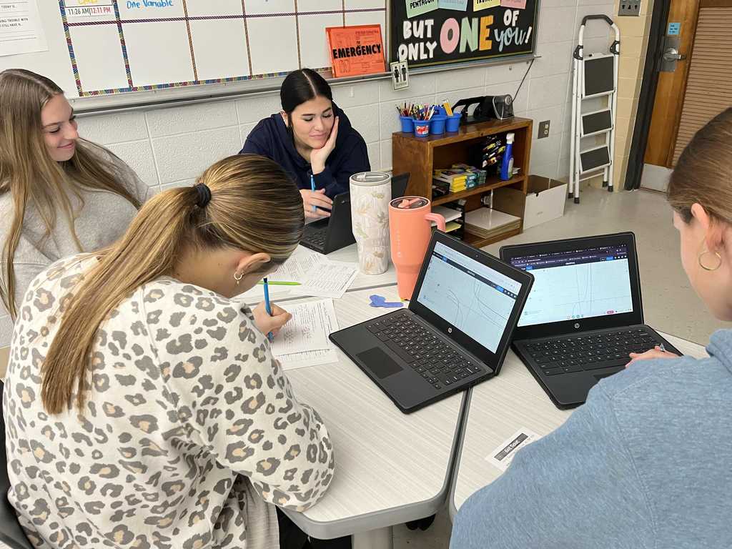 Precalculus class activity