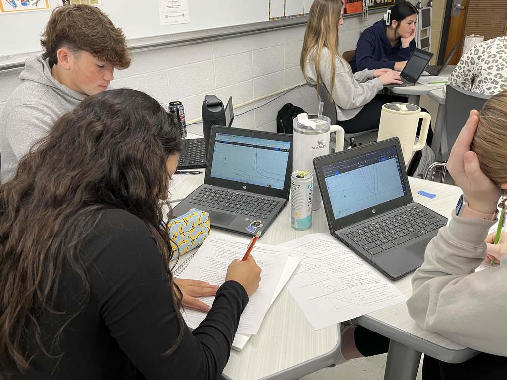 Precalculus class activity