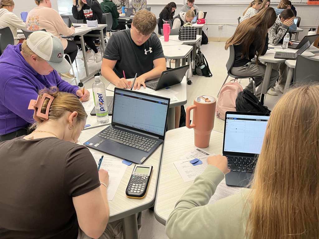 Precalculus class activity