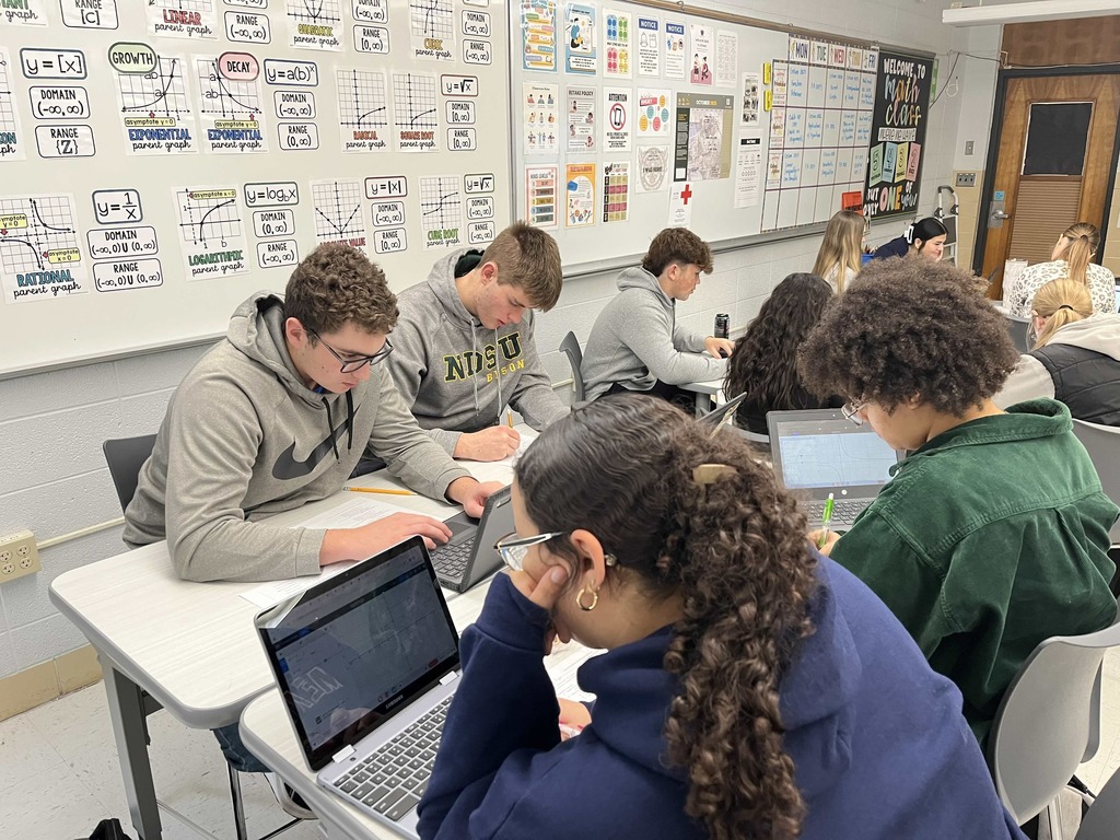 Precalculus class activity