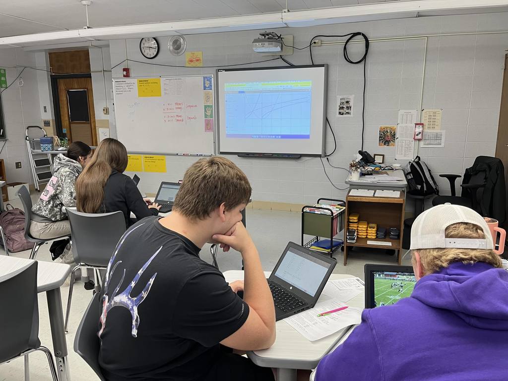 Precalculus class activity