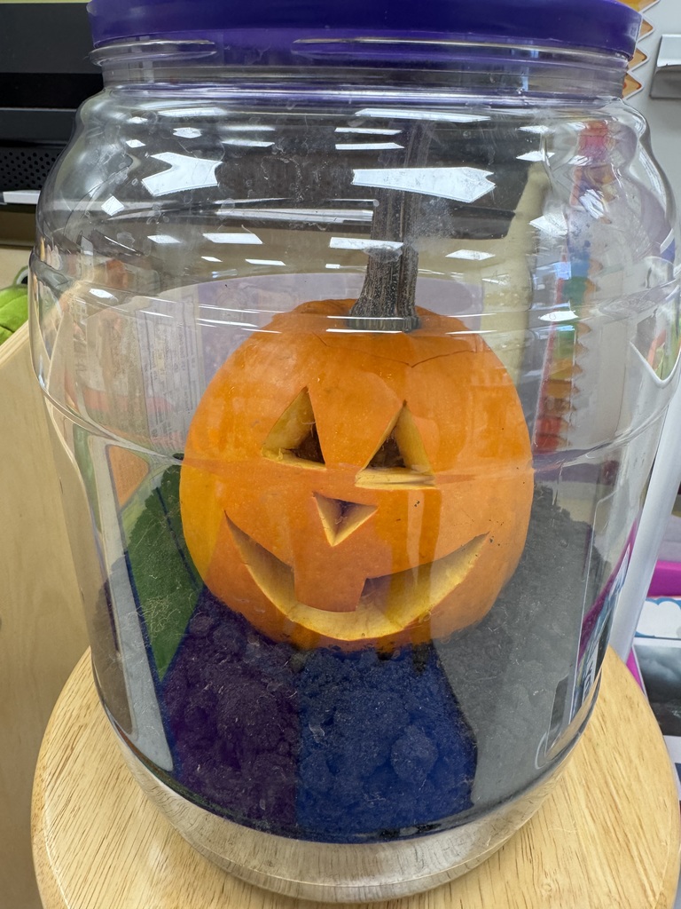 Pumpkin Jack experiment